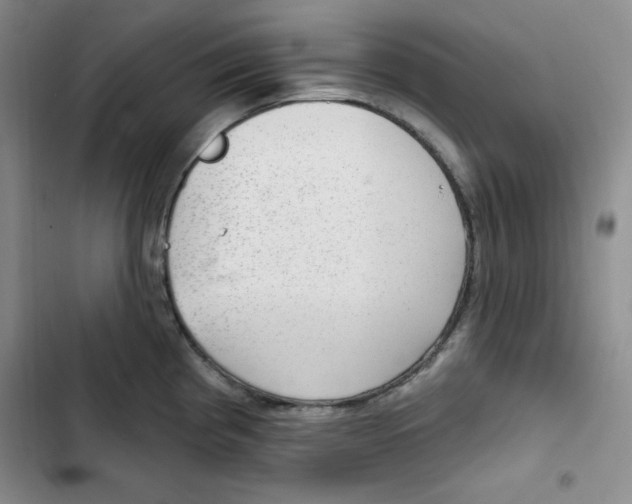 X0000102281193200808221257