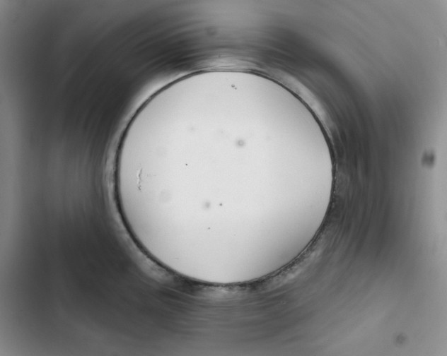 X0000102281195200808221257