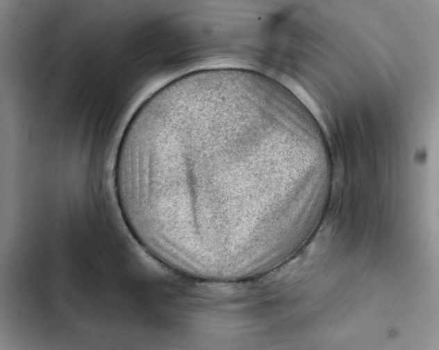 X0000102281197200808221257