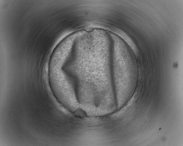 X0000102281198200808221257