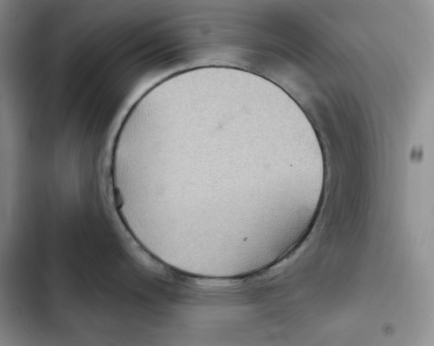 X0000102281200200808221256