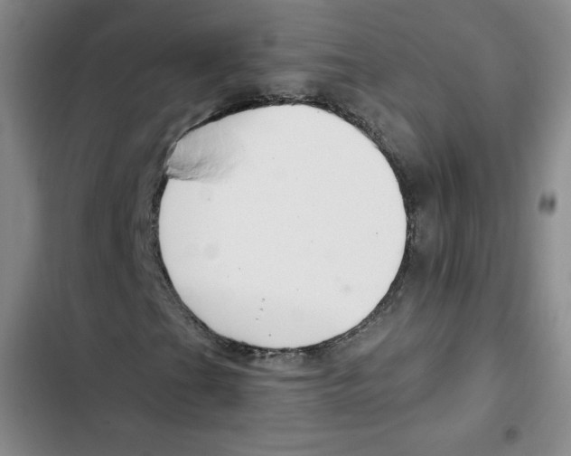 X0000102281201200808221256