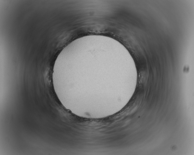 X0000102281202200808221256