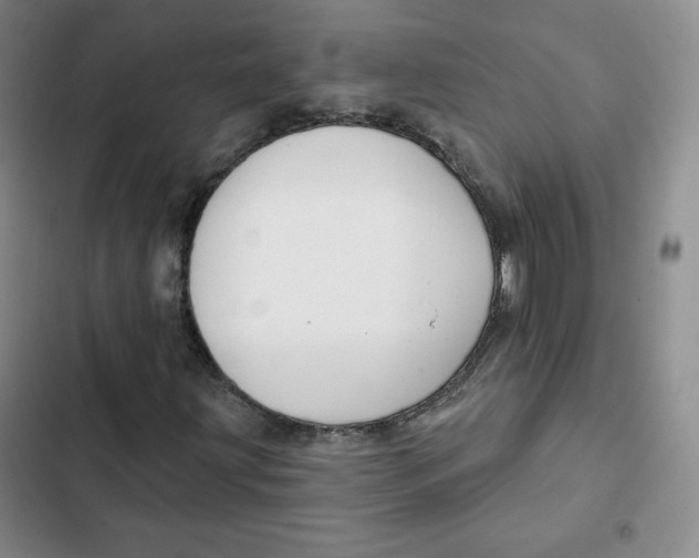 X0000102281203200808221256