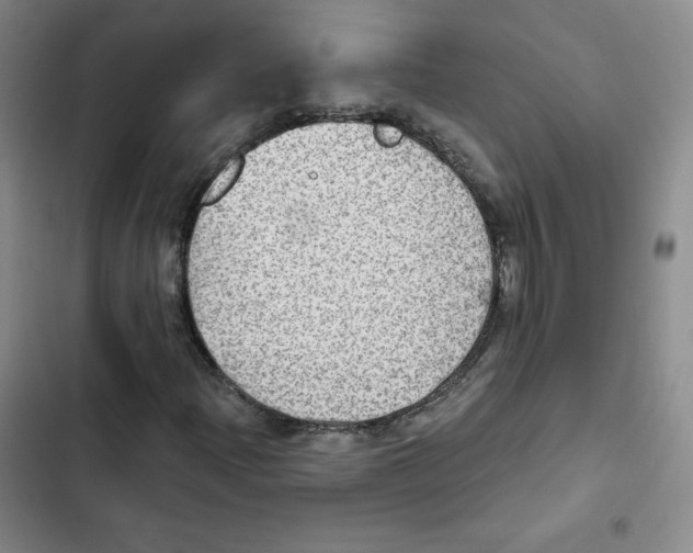X0000102281204200808221256