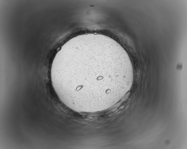X0000102281205200808221256