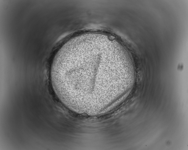 X0000102281206200808221256