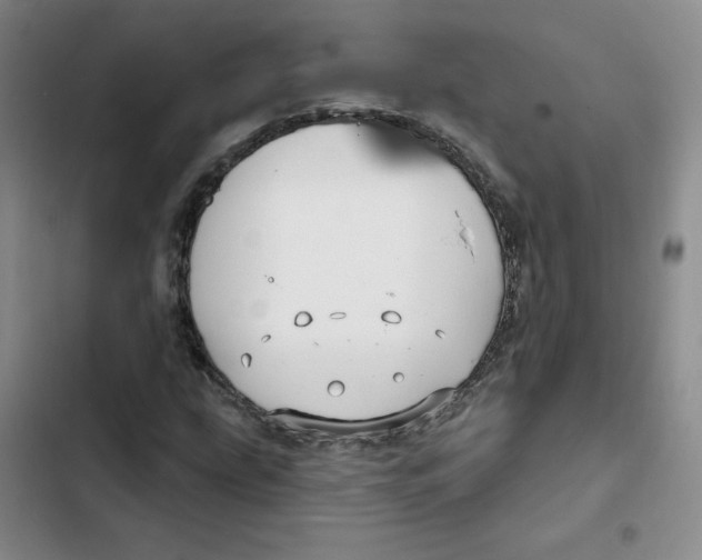 X0000102281207200808221256