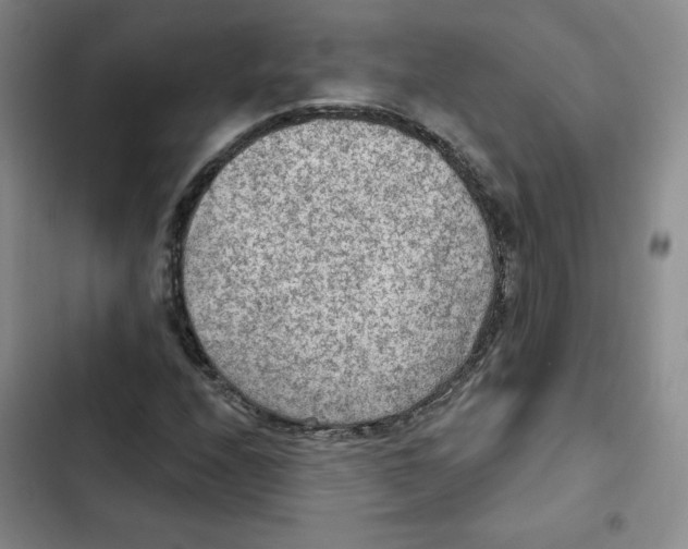 X0000102281208200808221256