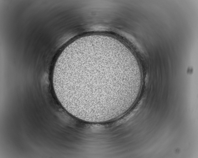 X0000102281209200808221256