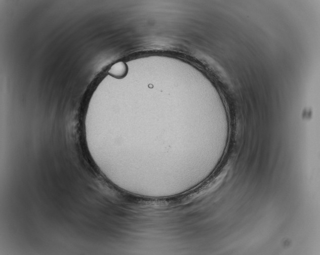 X0000102281210200808221256