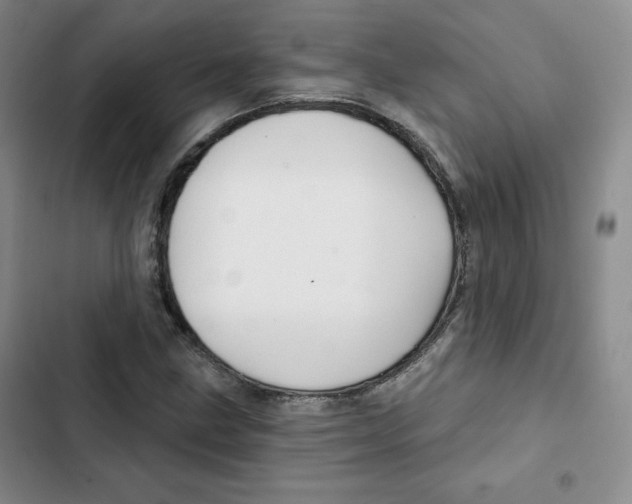 X0000102281211200808221256