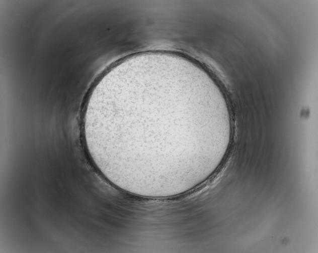X0000102281212200808221256