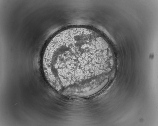 X0000102281213200808221256