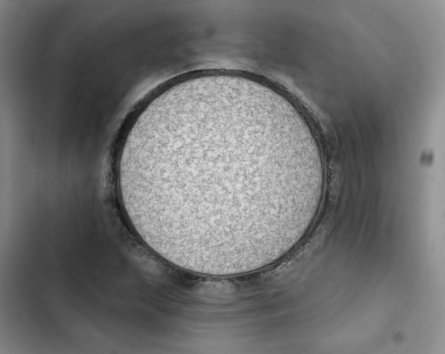 X0000102281215200808221256
