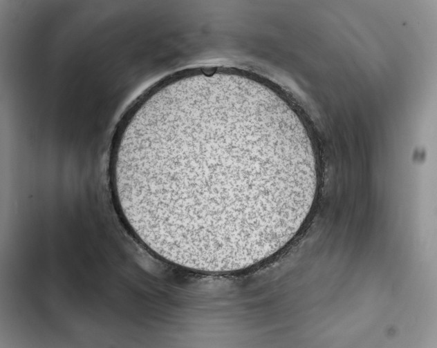 X0000102281216200808221256