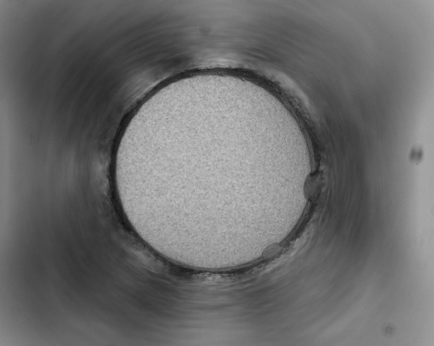 X0000102281217200808221256