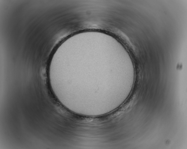 X0000102281218200808221256