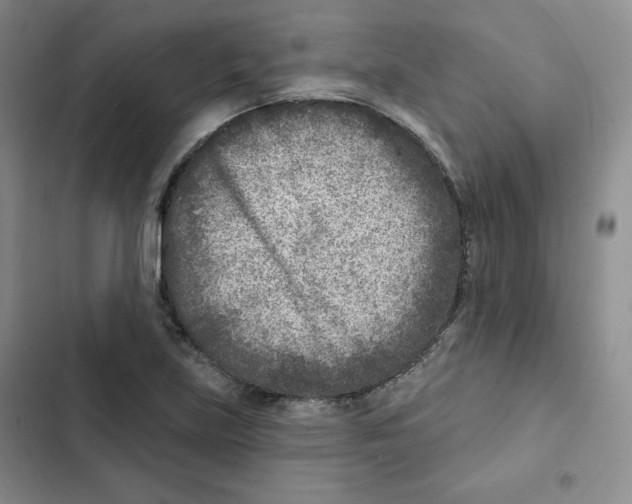 X0000102281219200808221256