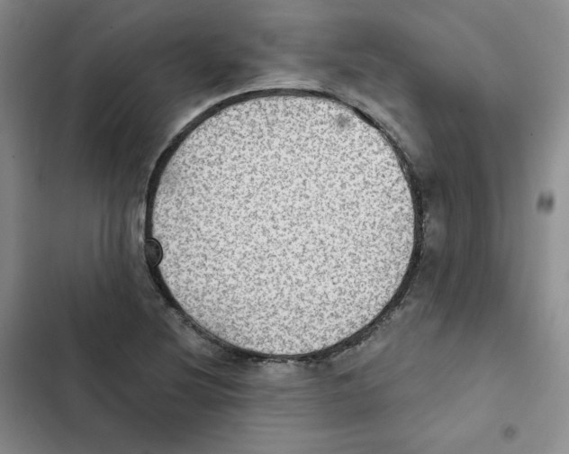 X0000102281220200808221256