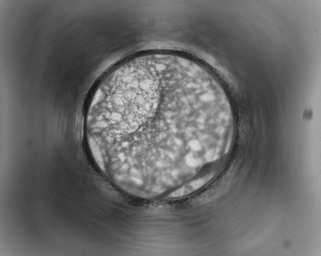 X0000102281221200808221256