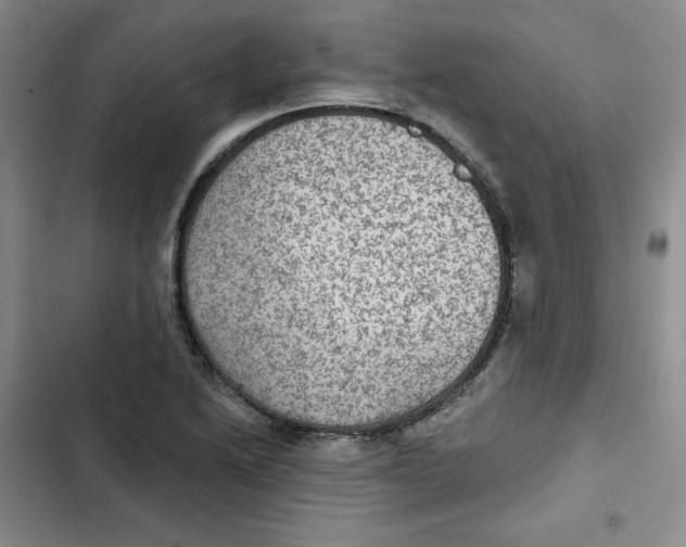 X0000102281222200808221256