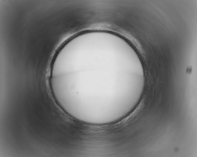 X0000102281224200808221256