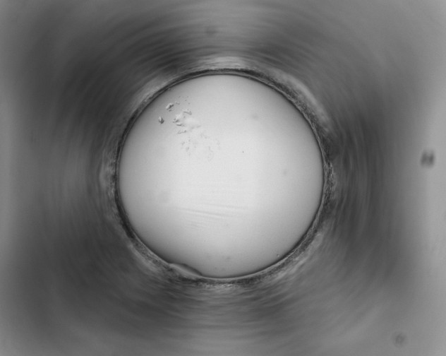 X0000102281225200808221256