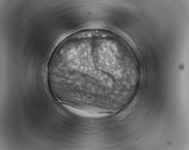 X0000102281226200808221256