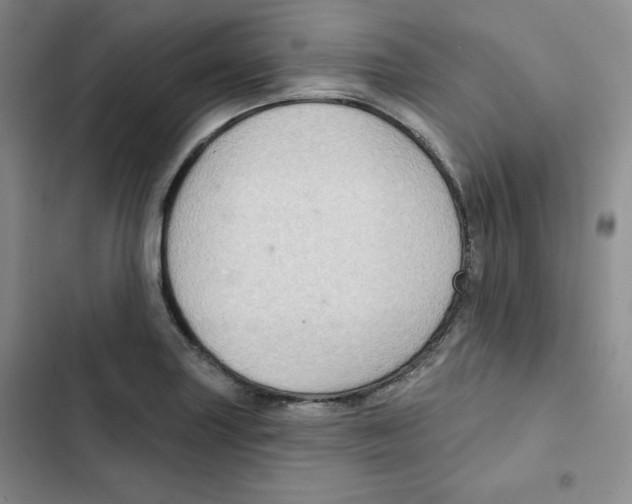 X0000102281227200808221256