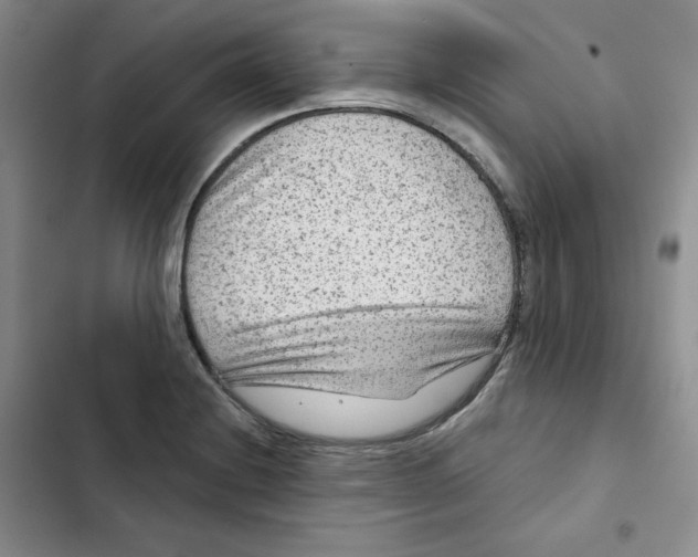 X0000102281228200808221256