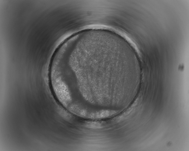 X0000102281229200808221256