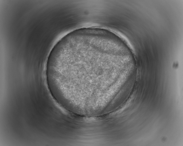 X0000102281231200808221256