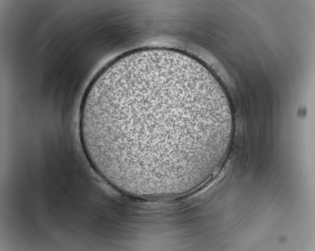 X0000102281232200808221256