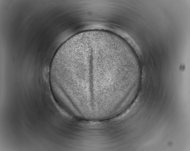 X0000102281233200808221256