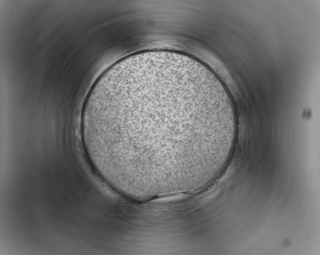 X0000102281234200808221256
