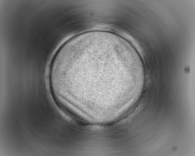 X0000102281235200808221256