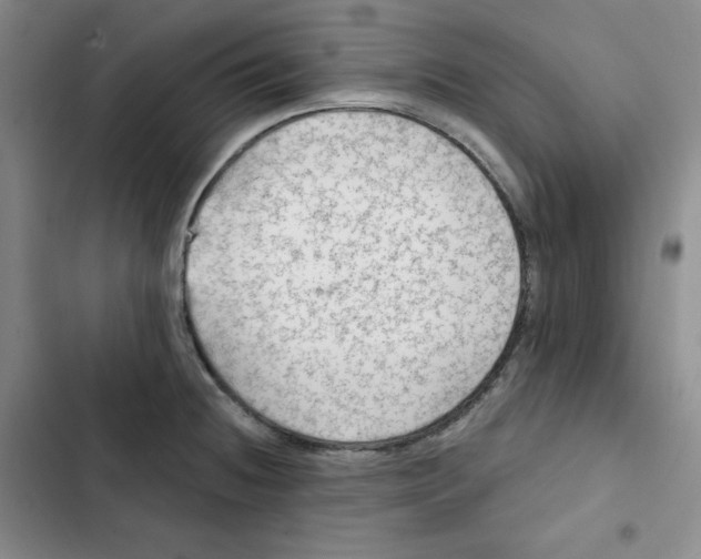 X0000102281236200808221256