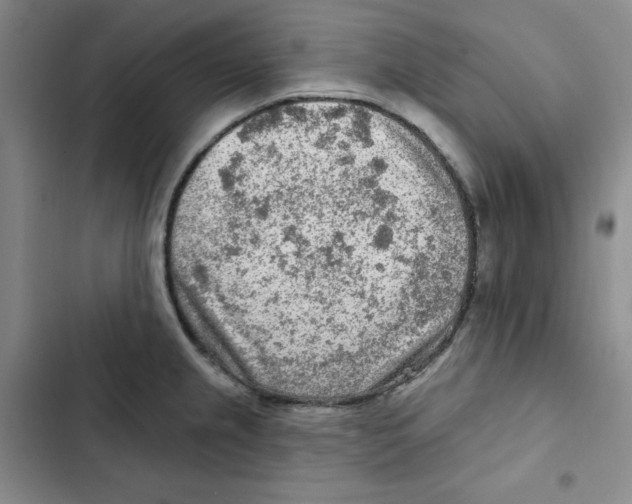X0000102281237200808221256