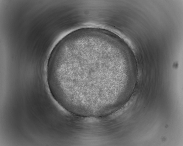 X0000102281239200808221256