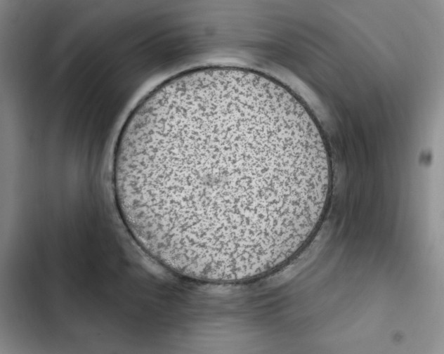 X0000102281240200808221256