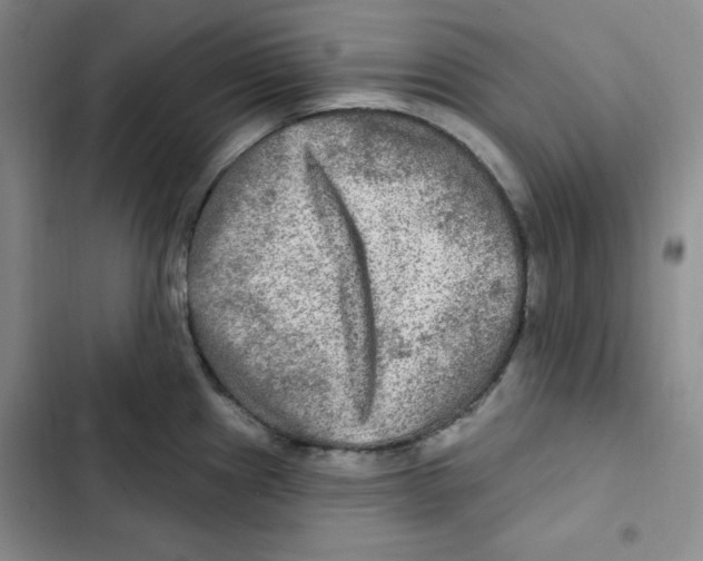 X0000102281241200808221256