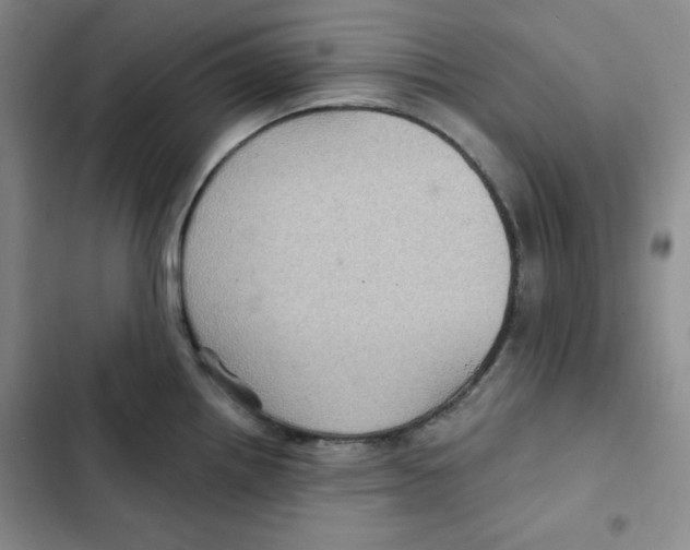 X0000102281242200808221256