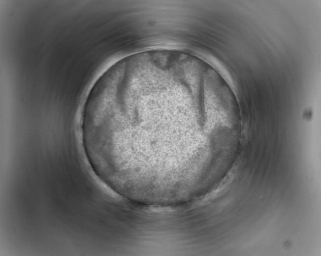 X0000102281243200808221256