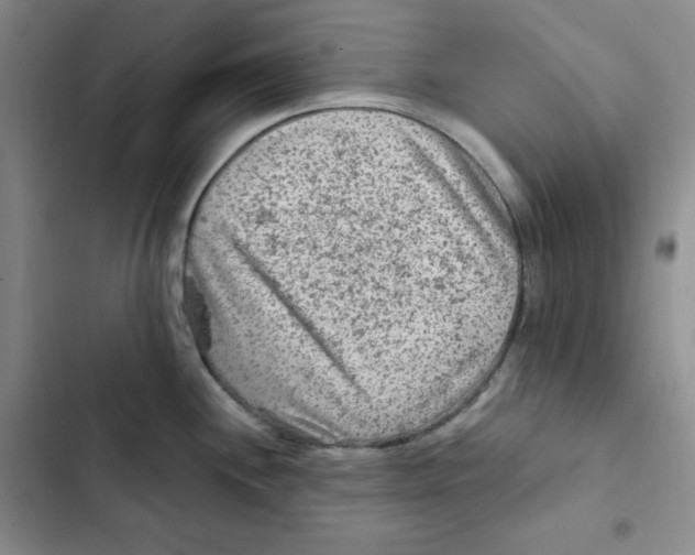 X0000102281244200808221256