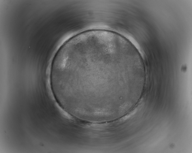 X0000102281245200808221256