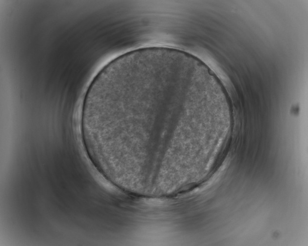 X0000102281246200808221256
