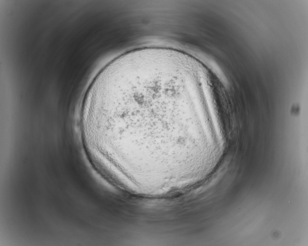 X0000102281247200808221256