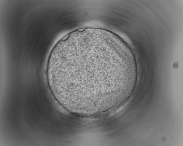 X0000102281248200808221256