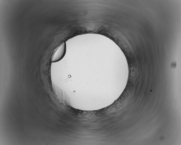X0000102281249200808221256